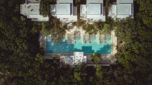 hotel holistika