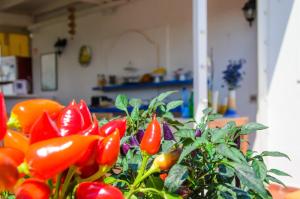 albergo villa giusto