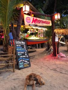 moonwalk lanta resort