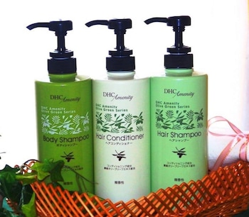 nest hotel sapporo ekimae