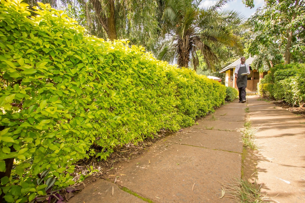 engo airport resort kitale