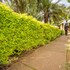 engo airport resort kitale
