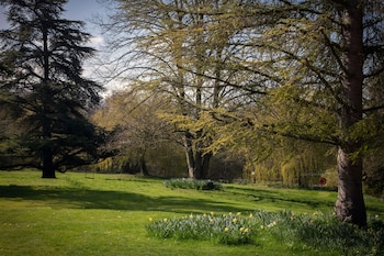 norton park hotel spa and manor house