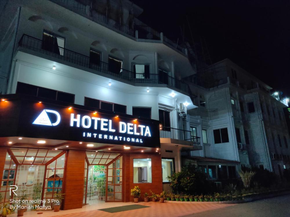 hotel delta international
