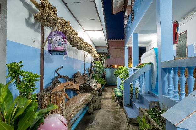 blue house pai