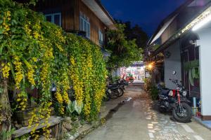 blue house pai