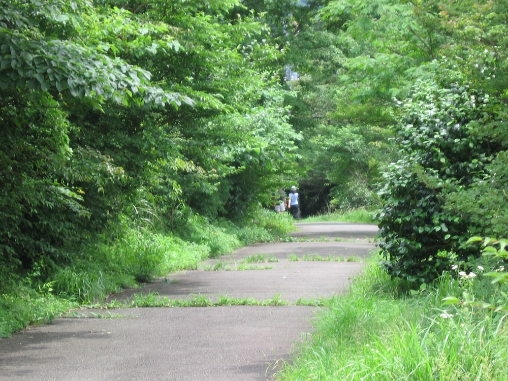 hakone