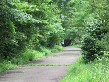hakone