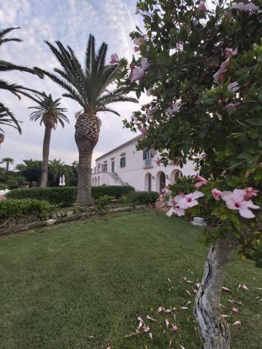 resort villa isola 21