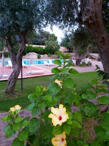 resort villa isola 21