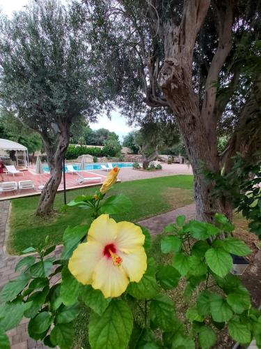 resort villa isola 21