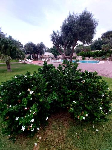 resort villa isola 21