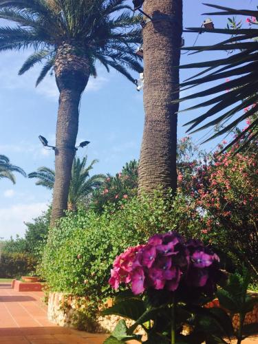 resort villa isola 21