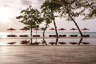 the secret pool villas by the library