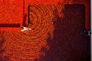 the secret pool villas by the library