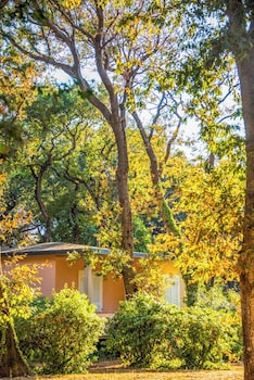 Hotel Wellness Resort Riva Degli Etruschi,San Vincenzo>>Livorno,4 star