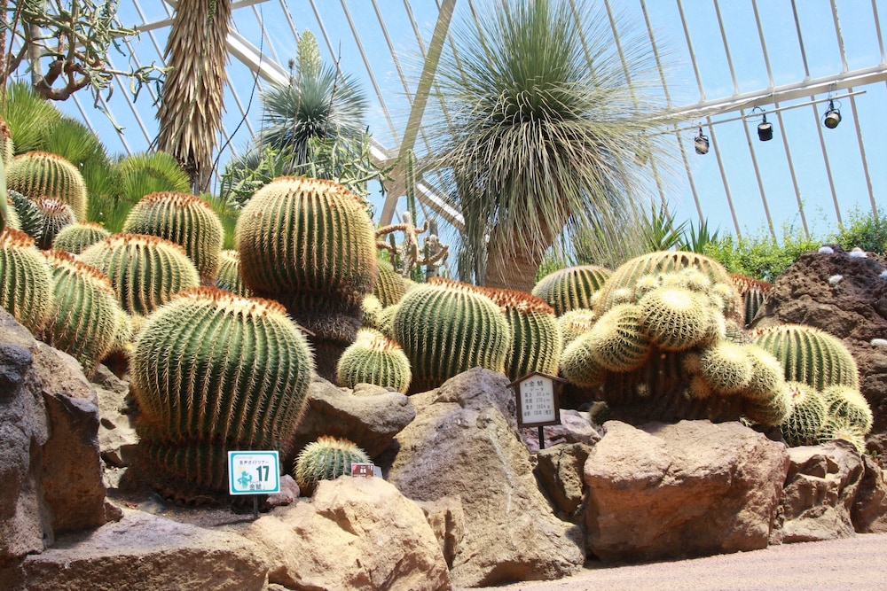 hoshino resorts kai anjin