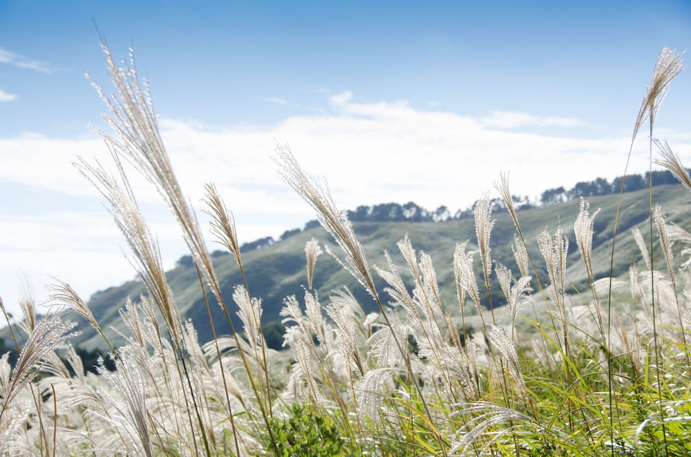 hoshino resorts kai anjin