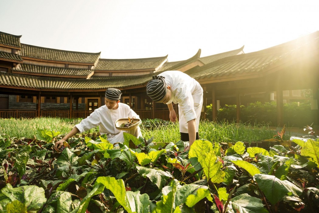 chengdu