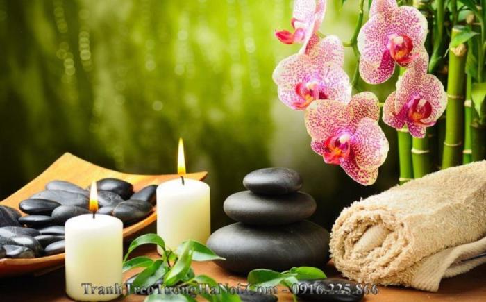 grande collection hotel and spa