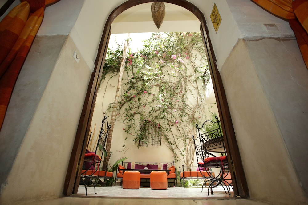 riad white flowers