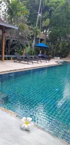cocoville phuket resort