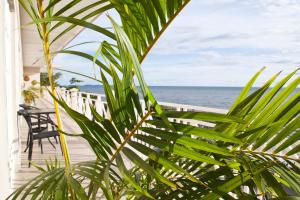 the beach house
