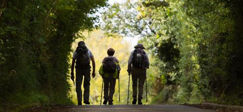 hotel arcea villaviciosa