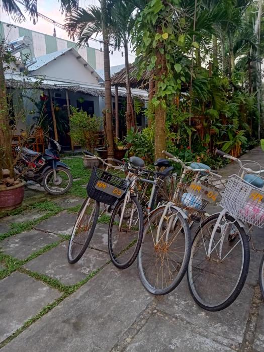 the natural bungalow