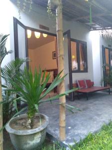 the natural bungalow