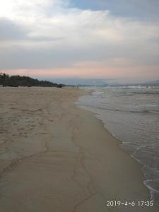 the natural bungalow