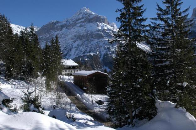 youth hostel grindelwald