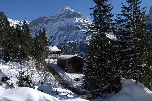 youth hostel grindelwald