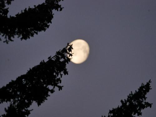 youth hostel grindelwald