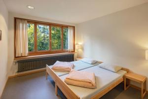 youth hostel grindelwald