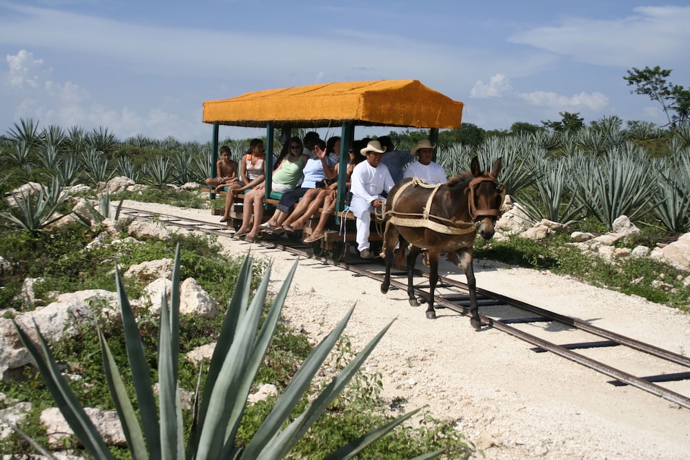 hacienda viva sotuta de peon