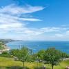 The Downs Babbacombe,,4 star