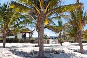 watamu