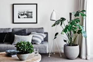 cumberland lorne resort