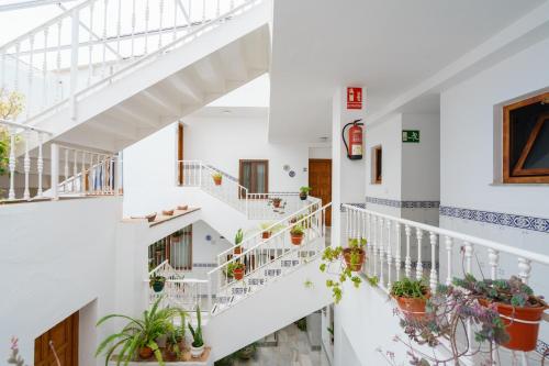 apartamentos pepe mesa
