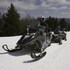 snowshoe