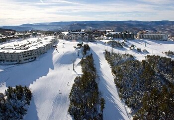 snowshoe