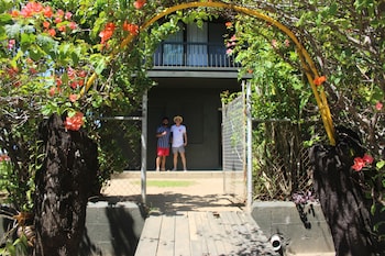 bamboo backpackers