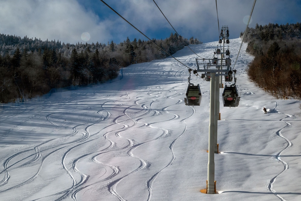 vantage point villas at stratton mountain resort