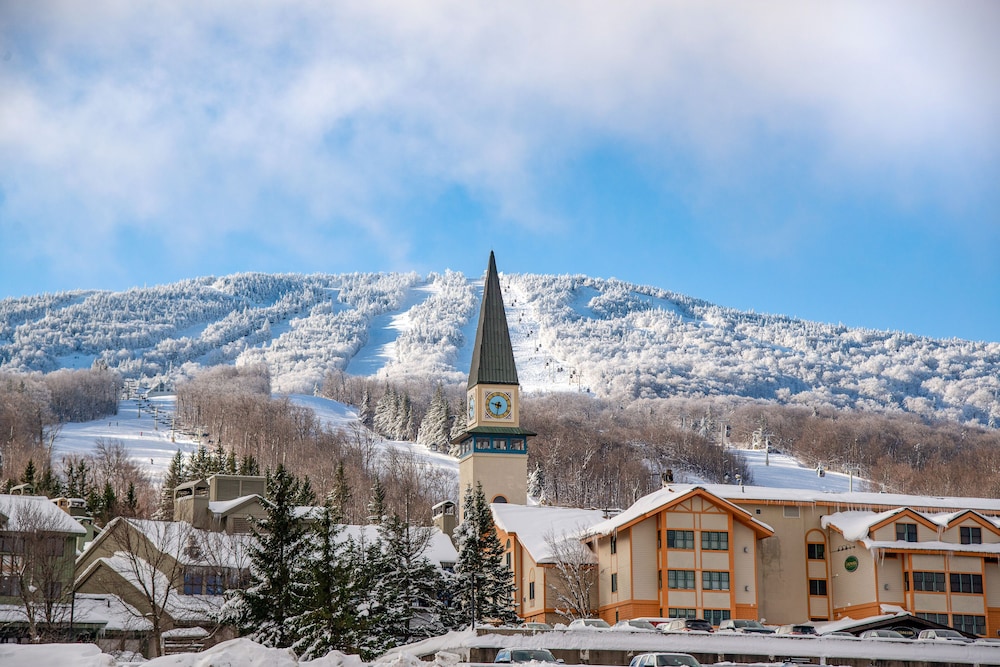 vantage point villas at stratton mountain resort