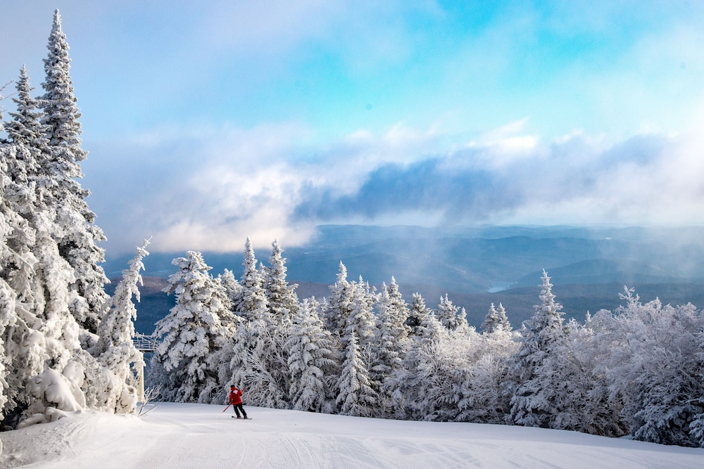 vantage point villas at stratton mountain resort