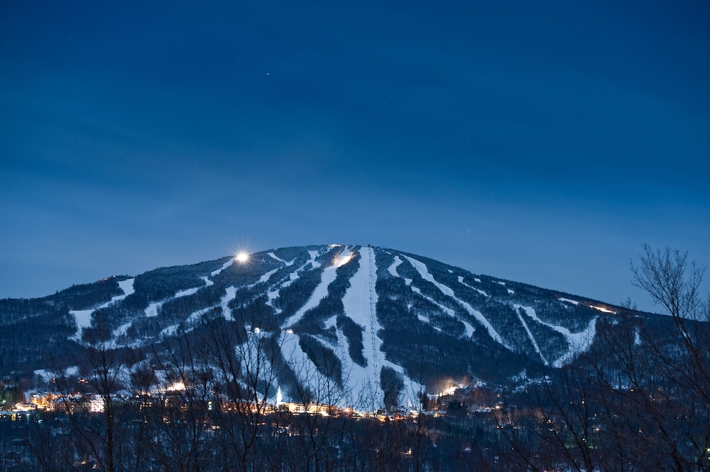 vantage point villas at stratton mountain resort