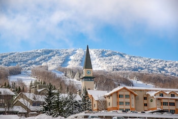 vantage point villas at stratton mountain resort