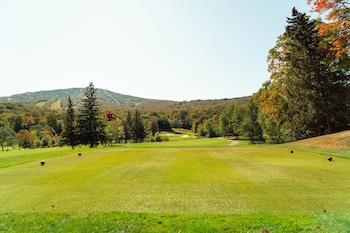 vantage point villas at stratton mountain resort