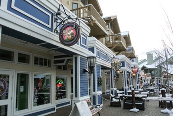 vantage point villas at stratton mountain resort